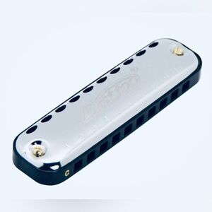10-Hole oval harmonica black/ White in Working Great Conditions